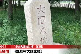 走乡村系列：在金州拥政街道红塔村的大阎家楼散拍，遇到大雨视频封面