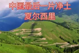 中国真正的无人区夏尔西里，三百多年无人畜涉足，不是谁都能进去视频封面