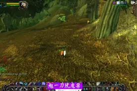 魔兽世界怀旧服猎人宠物之费伍德森林稀有猫头鹰“智者奥尔姆”视频封面