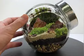 空罐子再也不要乱扔，可以拿来这样DIY，特别有创意！视频封面