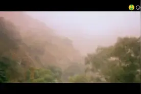 你若三冬来,换我一城雪白,漫天相思片片风中开《你若三冬》视频封面
