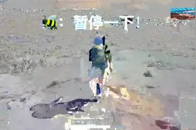 韦神带女友蜜蜂仔吃鸡，蜜蜂仔开出绝杀一枪视频封面