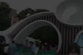 带日本女友来四川看大熊猫，开心得合不拢嘴！在日本这么受欢迎？视频封面