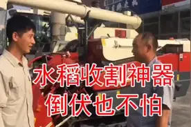 这样的水稻收割机，倒伏都不怕，脱粒干净，你用过吗？视频封面
