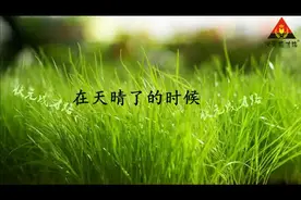 部编语文四下 状元大课堂 课文朗读 12 《在天晴了的时候》视频封面