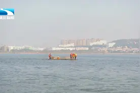 一年移除氮100余吨 汤逊湖治水“功臣”是谁？视频封面