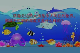 三年级下册语文知识第四十九讲23课《海底世界》第一课时视频封面