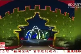柳州：市民广场花卉展开展，首次增加夜景效果视频封面