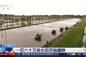 辽宁盘锦：160万亩水田插秧工作启动视频封面