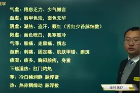 中医症状总结：气虚血虚阴虚阳虚气滞血瘀痰湿寒热，肝心脾肺肾胆