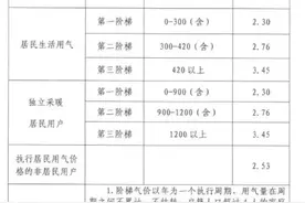 临沂市天然气价格调整表视频封面