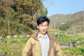 蜜蜂养殖，你知道蜂王是怎样发育和交尾的吗？视频封面