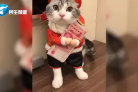 送你一只招财猫，见者发财“喵喵喵”视频封面
