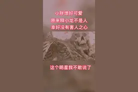 测测你像哪个明星这次我不敢再说视频里的明星明星我怕又说错挨打
