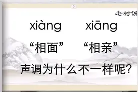 带孩子轻松高效学汉字，“相”字详解。视频封面