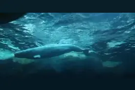 不管你经历过多痛的事。到最后都会渐渐遗忘。因为，没有什么能敌得过时光。#幸福里性价比好房推荐 图片