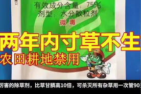 最厉害的除草剂，比草甘膦高10倍，可杀灭所有杂草用一次管90天视频封面