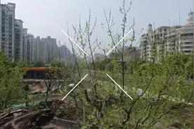 “高脚”坐凳观景 服务驿站休憩 苏州河普陀段又有亲水步道即将开放｜我为百姓办实事②图片