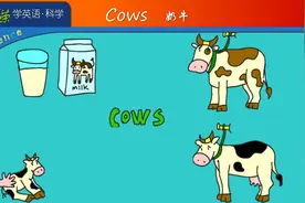 2 奶牛Cows 跟常荣学英语科学Science视频封面