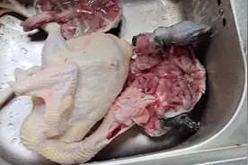 小伙祖传甲鱼汤的做法，营养又健康，很适合老人小孩食用视频封面