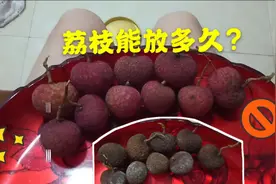 荔枝正常情况下能放多久，这个实验告诉你，什么品种最耐放视频封面