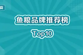 鱼粮十大品牌榜