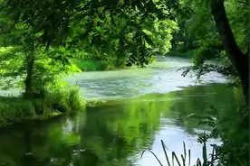 感受大自然的声音 一首自然风纯音乐！