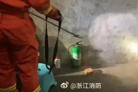 台风天小蛇来凑热闹 消防顶着大风上门捕蛇解困图片