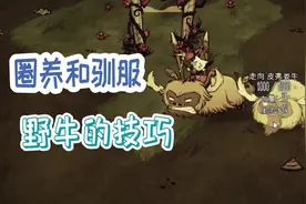 饥荒 关于野牛的这些细节不了解下么