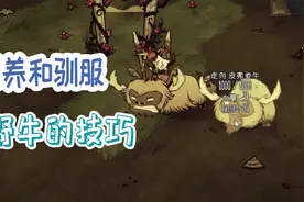 饥荒 关于野牛的这些细节不了解下么