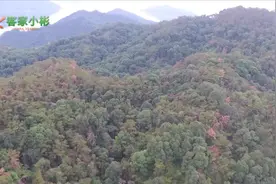 3_广东河源，发现明清以来最大的古墓，果然是个大人物视频封面