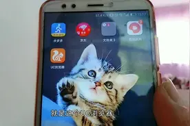 视频教学-手机登录头条号后台视频封面