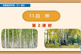 四年级下册语文《10.白桦》第二课时视频封面