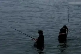 汉江怪物：河岸出现不明黑色生物，路人喂食，不料成了它的食物图片