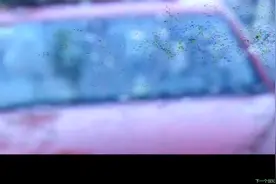 爱情重点           石梅