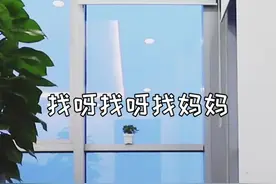 找呀找呀找妈妈视频封面