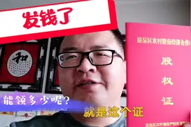 生产队的股权证发钱了，怎么发放的一股能领多少钱？做农民真幸福视频封面