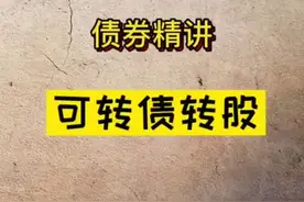 两分钟教你了解可转债转股的奥秘视频封面