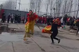 河南农村的庙会活动舞狮图片