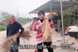 四川农村小妹家杀大鹅，拔鹅毛像脱衣服一样快，这方法你用过吗？视频封面