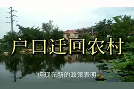 想要城市户口迁回农村，满足这4点就可以，赶快看一下吧视频封面