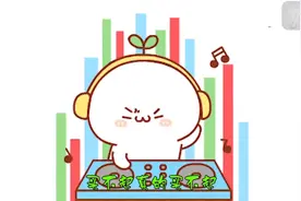 搞笑歪歌：买不起真的买不起，我算来算去算来算去算到放弃。