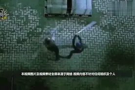 宝剑配英雄，为啥我国海军的宝剑这么奇怪？看看网友怎么说视频封面