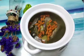 鸽子怎样炖才营养？大厨来教你，加入1个鲜天麻，汤鲜味美且补脑视频封面