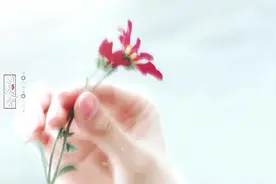 【毛晓彤中心向】《有美人兮》郭芙x黄蓉