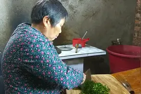 中午妈妈做饭炒菜，又炒了韭菜鸡蛋饼，鸡蛋便宜，妈妈很节约视频封面
