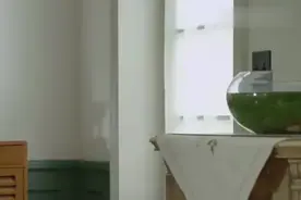 媳妇赌气回娘家，不料看到丈夫在帮丈母娘干活，乐了视频封面