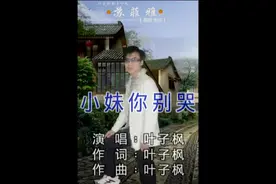 叶子枫-小妹你别哭_国语_流行