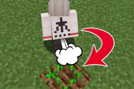 我的世界：在MC中放屁竟然能够让种作物成长