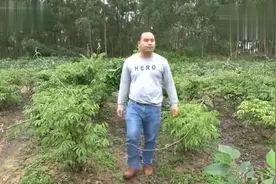 农村大哥一首《女人是老虎》，唱得太好听了，歌词搞笑视频封面